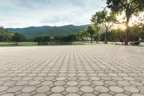 Best Decorative Driveway Pavers  in Tano Road, NM